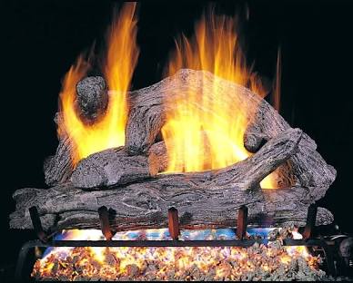 Coastal Driftwood